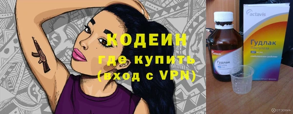 дживик Пересвет