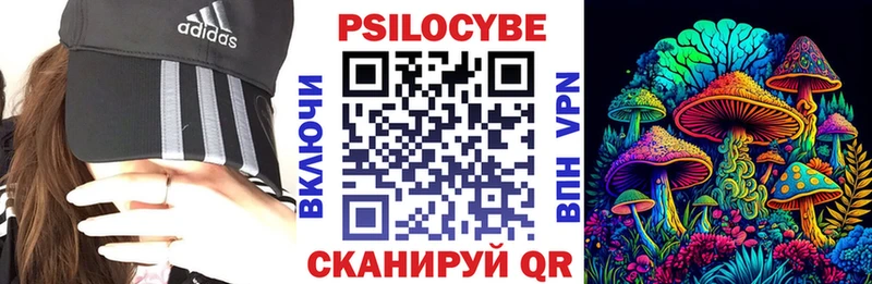 Псилоцибиновые грибы Magic Shrooms наркошоп Новотроицк