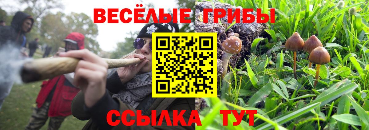 Новотроицк  Галлюциногенные грибы Magic Shrooms  Вход с VPN 
